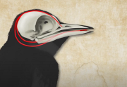 painting of a black bird