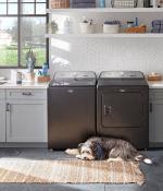 Photo of a laundry room with a sink, washer, and dryer against a wall with windows and shelves. A dog lays in front of the machines.